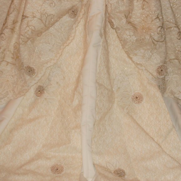 Stunning Gold/Ivory Ball Gown & Veil-Reduced $120! - Picture 12 of 16
